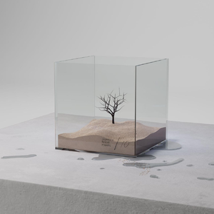 特黄60分钟免费视频大全播放软件
