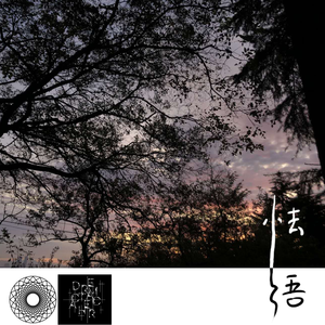 特黄60分钟免费视频大全播放软件
