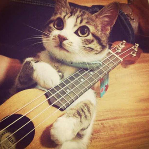 特黄60分钟免费视频大全播放软件
